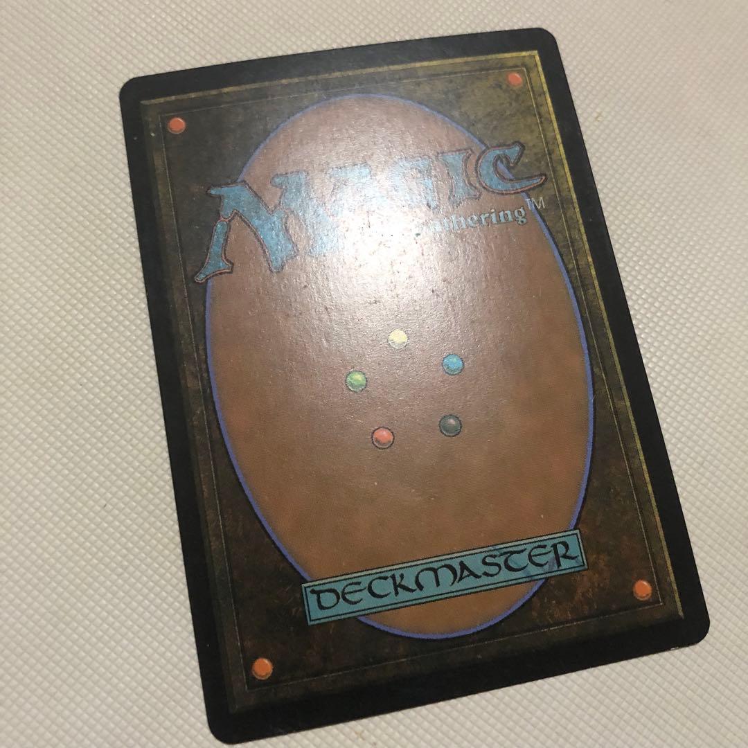 霧深い雨林 溢れかえる岸辺 汚染された三角州 mtg ロシア語 フェッチランド