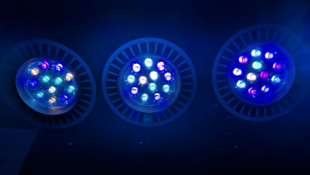 ボルクスジャパン　Ｇｒａｓｓｙ　ＬｅＤｉｏ　3個セット