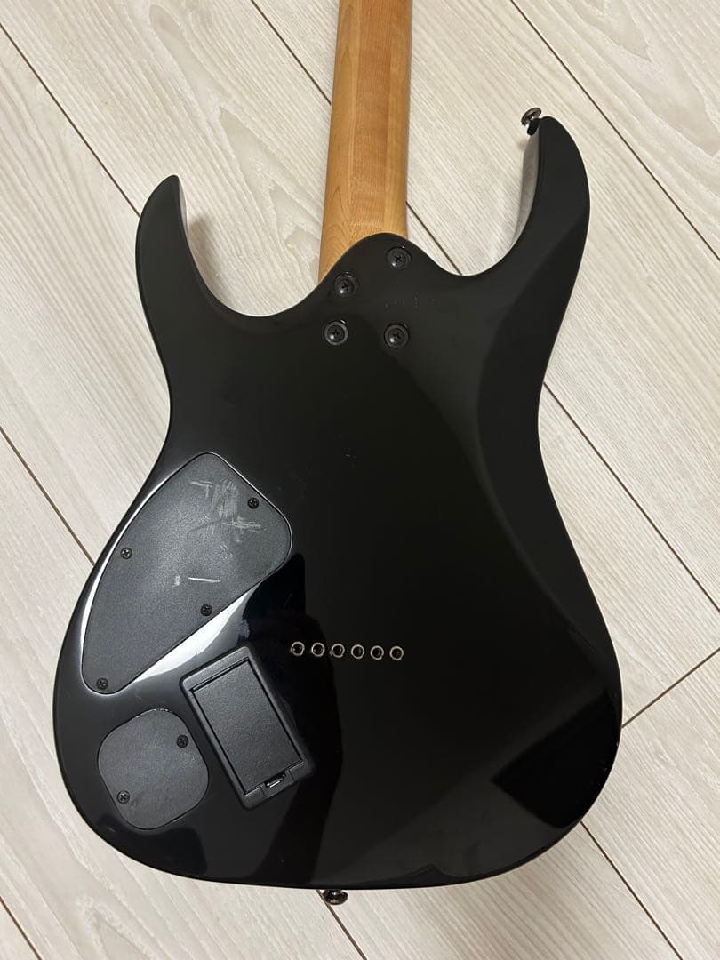 carcass loveIbanez アイバニーズ RG RGA42