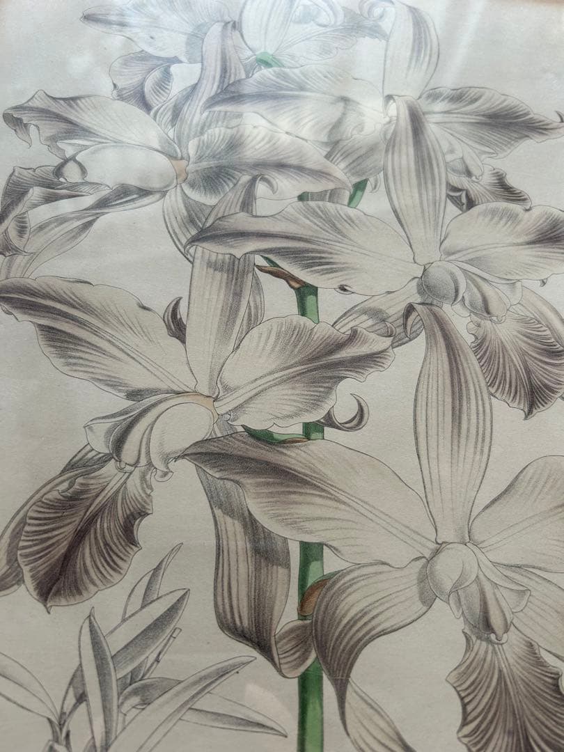 アンティーク　絵画　アート　額装