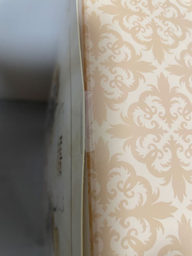 Fate/Apocrypha Ruler 紅蓮の聖女ANIPLEX ルーラー