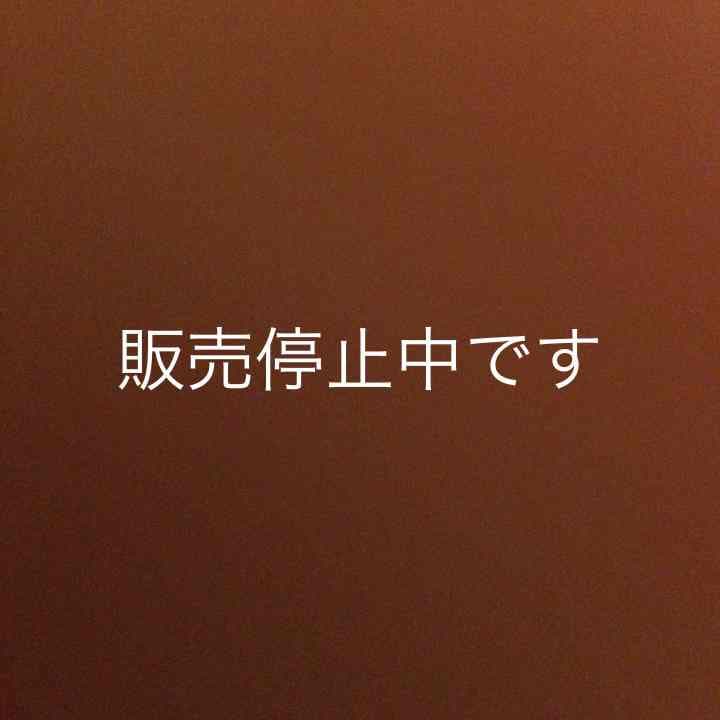 販売停止中ですすいませんm(_ _)m