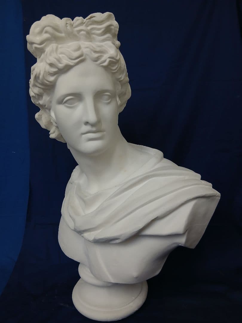 アポロ胸像　81cm