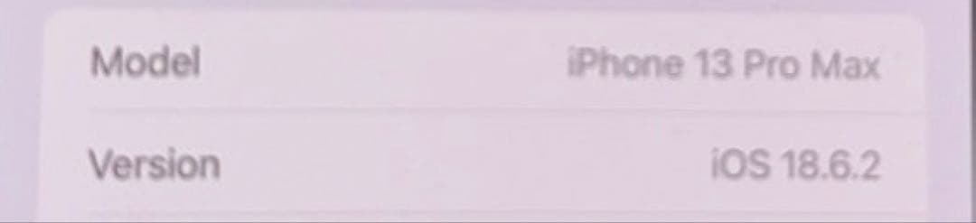 iPhone 13 Pro Max ひび割れあり