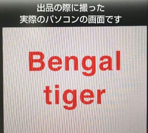 未開封多★グレンドーマンビッツの世界 CD-ROM全10巻＋関連本★9万円で購入