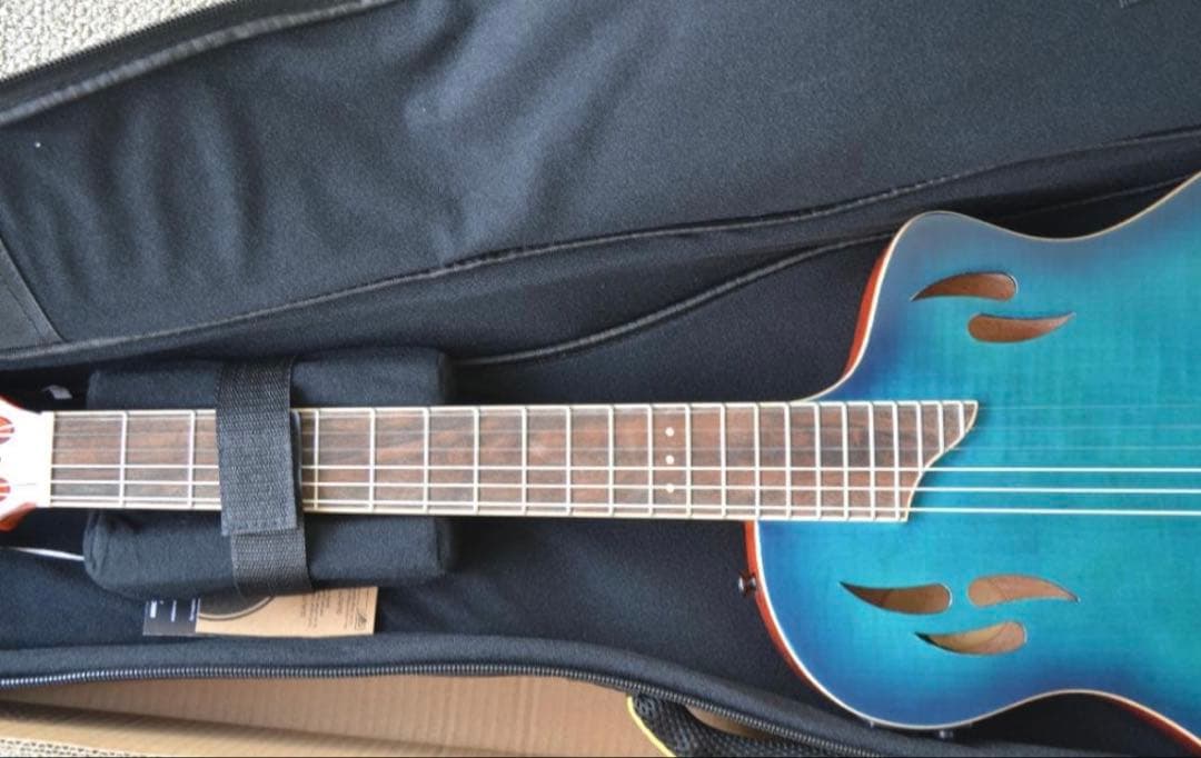 【ほぼ新品】Ortega RTPDLX-FMA TOURPLAYER エレガット