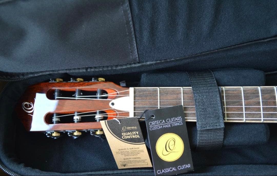 【ほぼ新品】Ortega RTPDLX-FMA TOURPLAYER エレガット