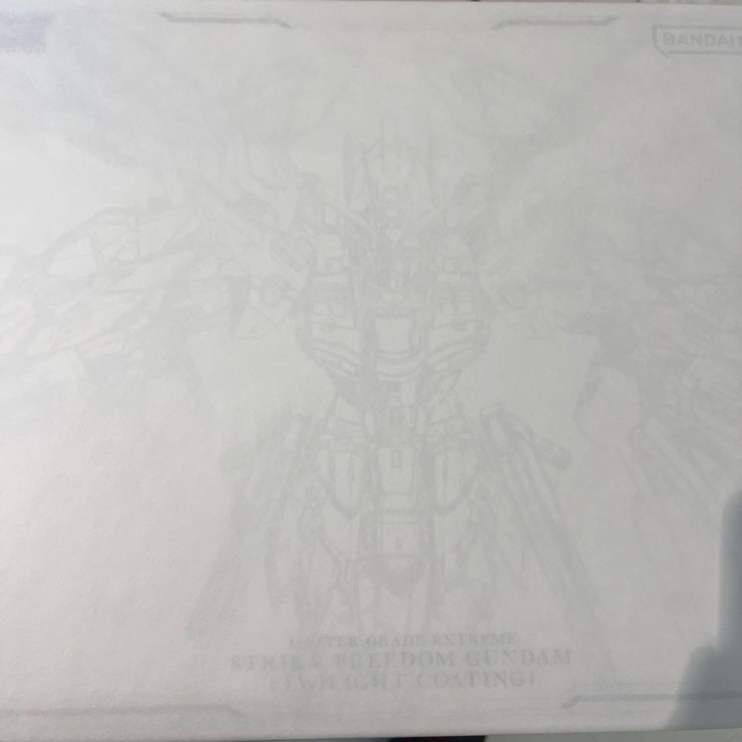 早い者勝ち　ストライクフリーダムガンダム TWILIGHT COATING