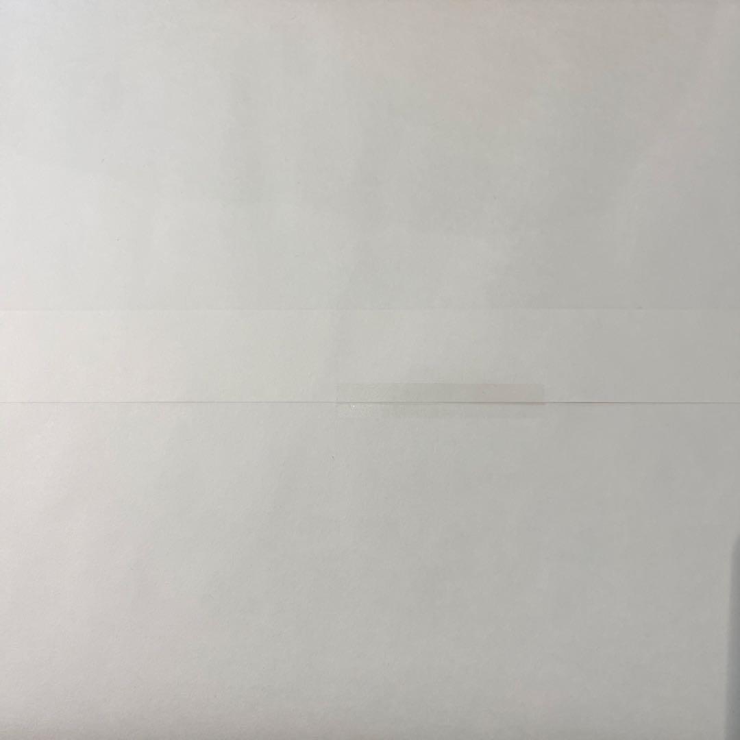 早い者勝ち　ストライクフリーダムガンダム TWILIGHT COATING