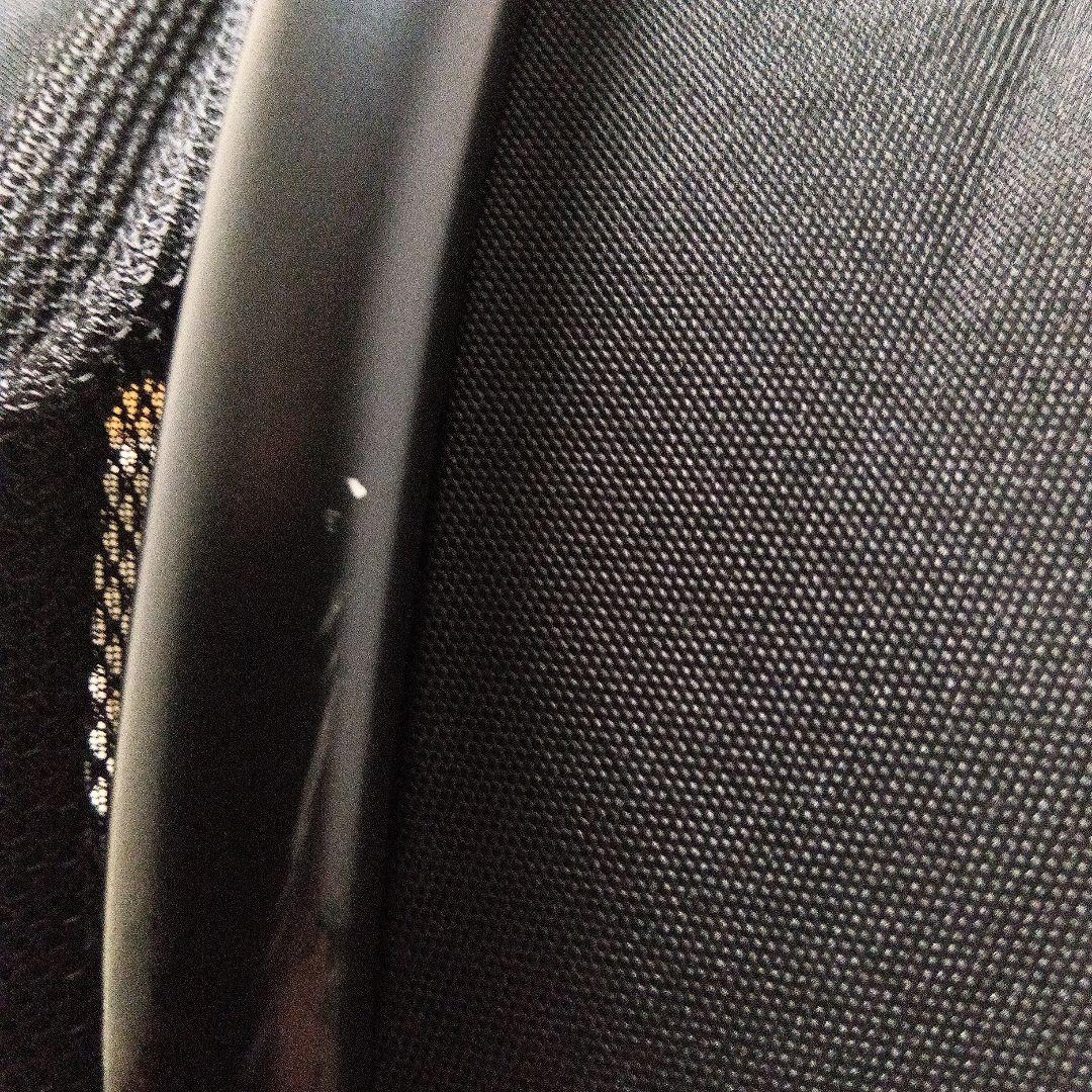 美品 エアバギーAirbuggy Wiz Xペットカート　トゥルーブラック