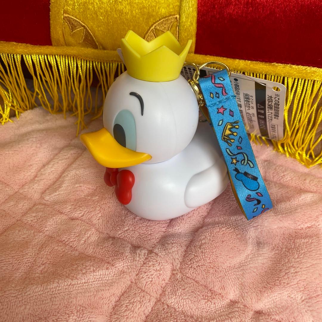 ディズニーランド限定　ドナルドダック ランチバッグプレート　スナックケース