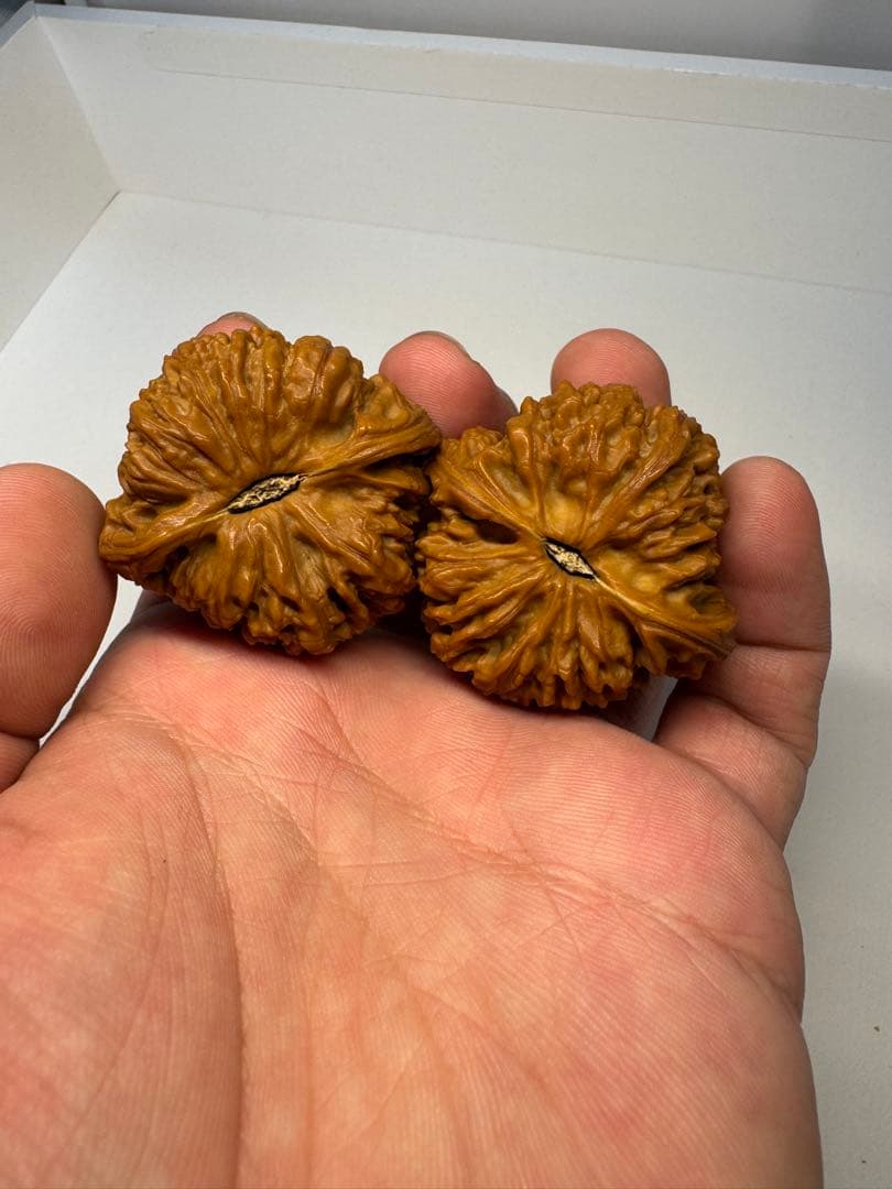 希少文玩核桃 南疆石 極太楞特徴