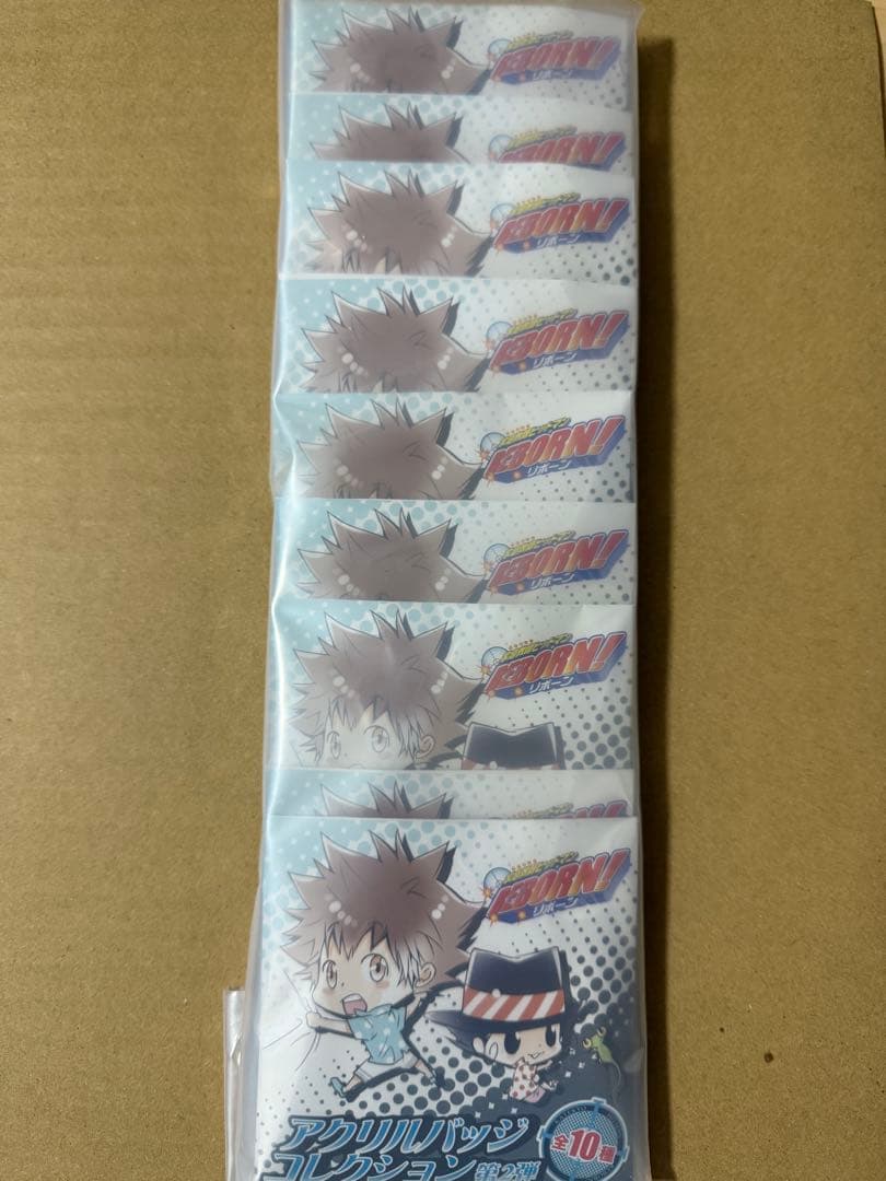 REBORN! アクリルバッジコレクション　第2弾　10点セット　未開封品