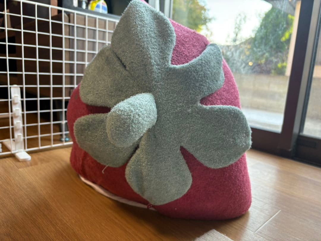 GELATO PIQUE イチゴ型ペットハウス