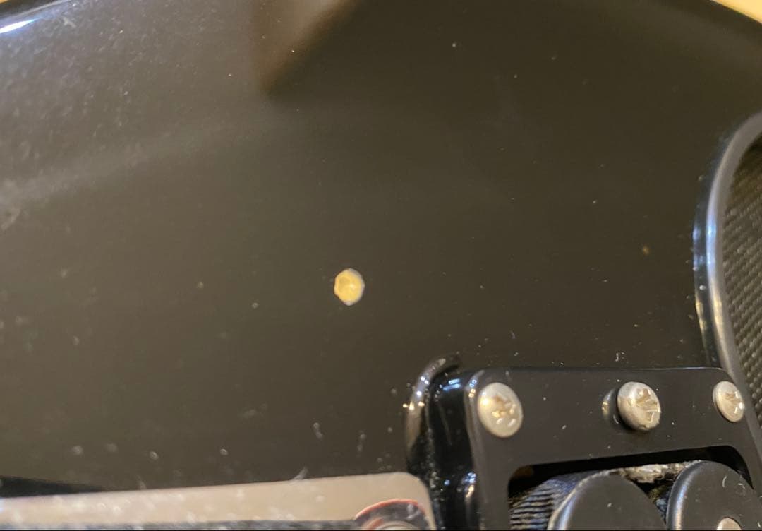 【専用】フェルナンデスZO-3 説明書・ストラップ・ハードケース付