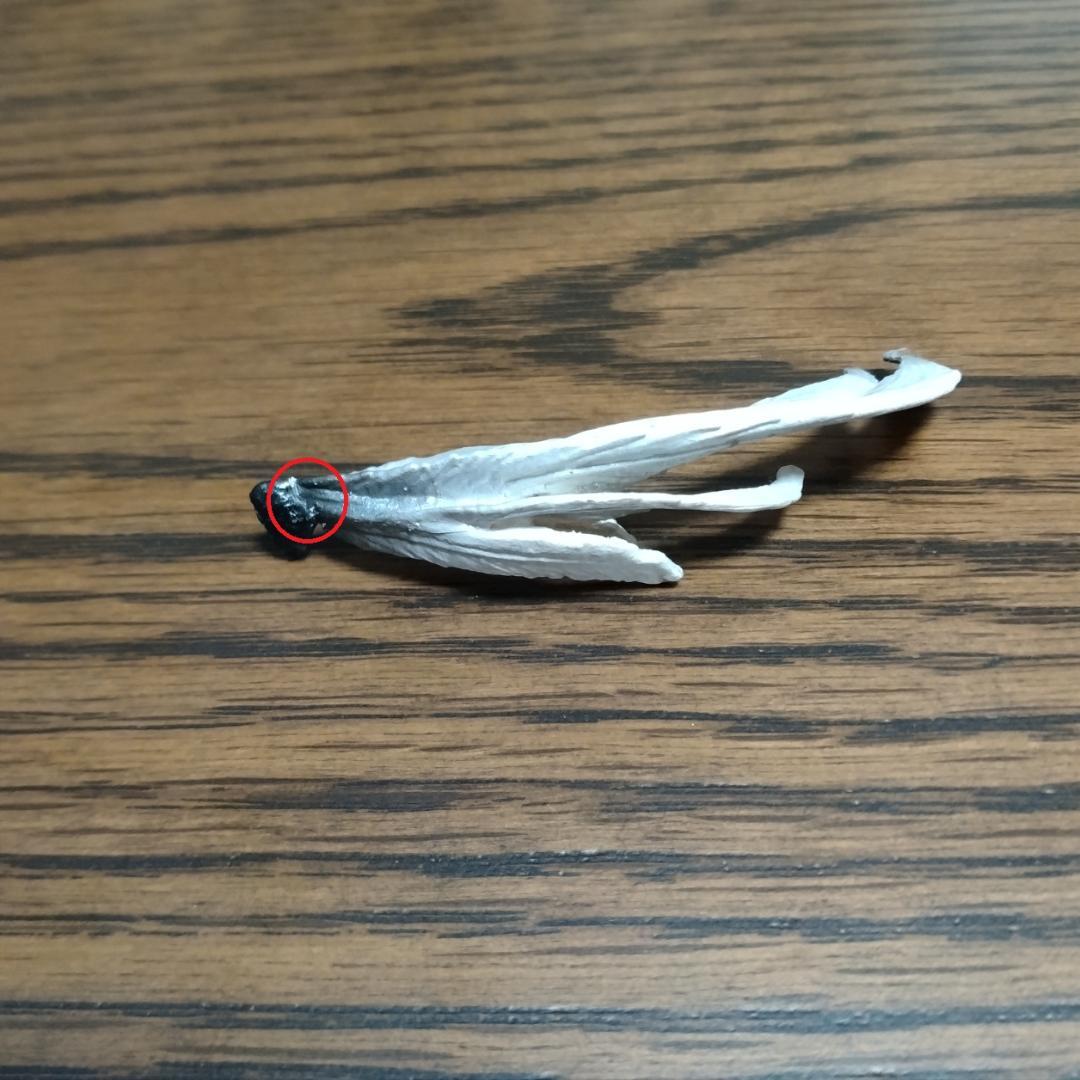 Bloodborne 時計塔のマリア EX版 スタチュー