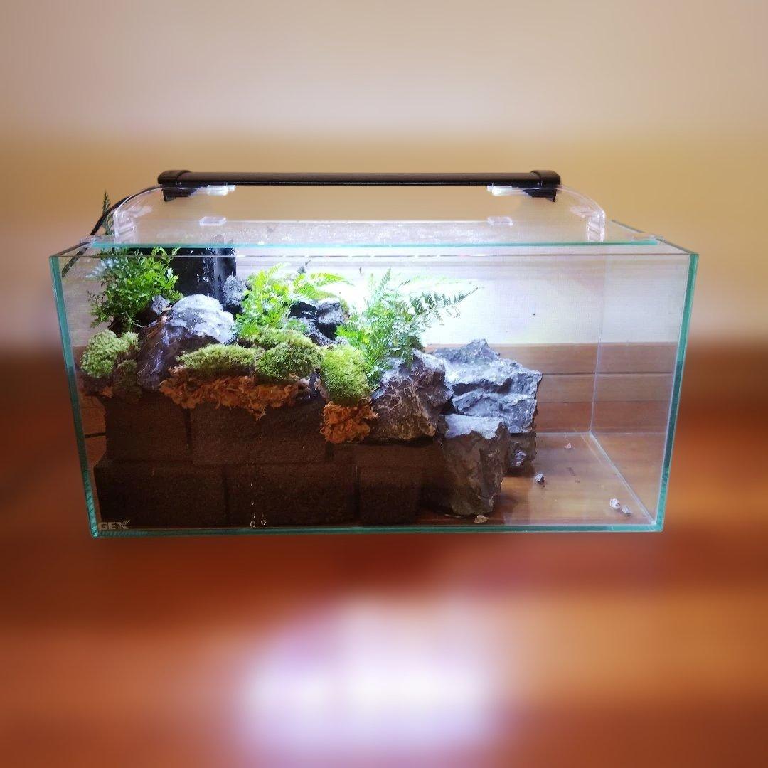 【受注生産】滝の流れるアクアテラリウム　イモリウム　苔テラリウム　テラリウム
