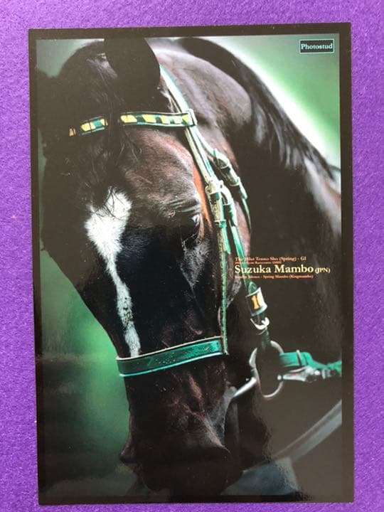 【競馬】かつての名馬たち　額入り