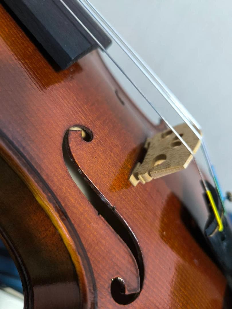 Paesolt社製ヴァイオリン 弓 ケース付き4/4【購入時約50万円】