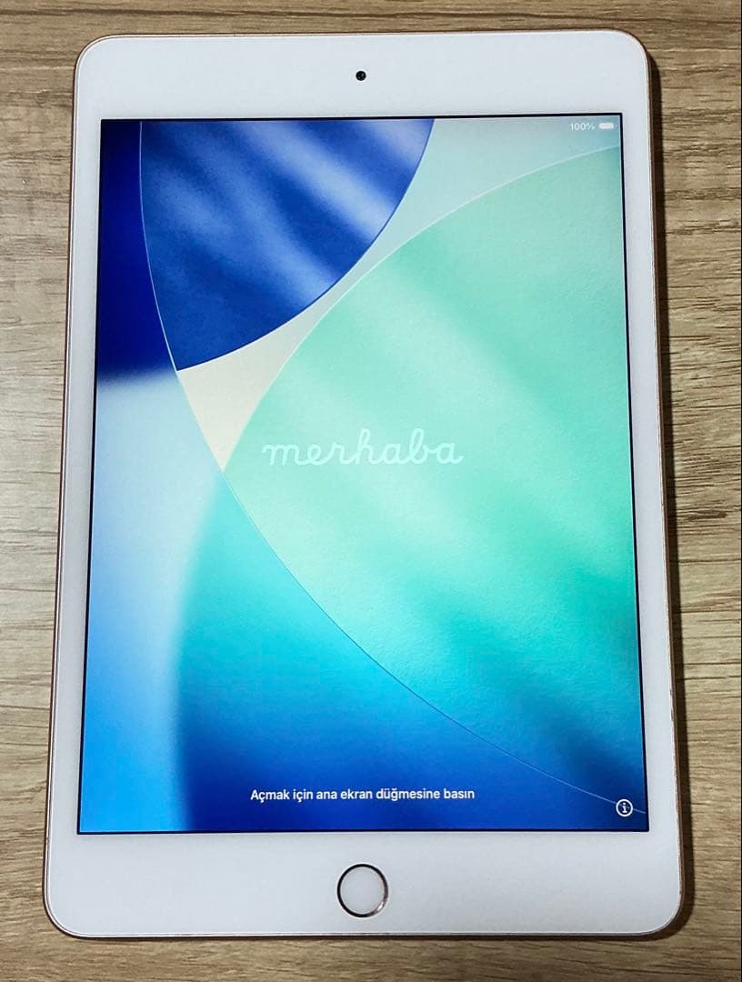 i Pad mini 5 （第5世代） wi fi モデル 64GB ゴールド