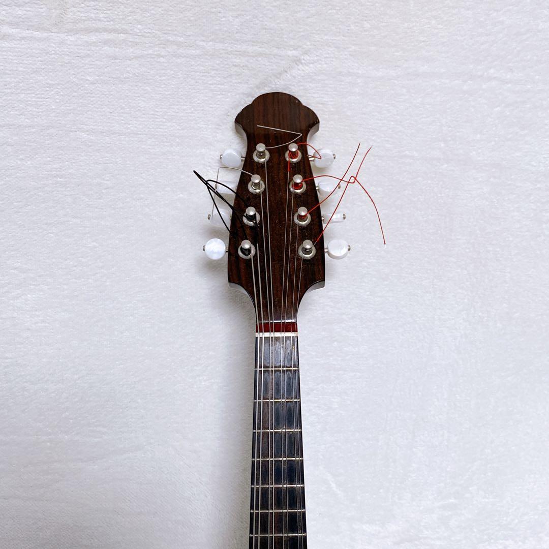 入手困難　マンドリン　藤丸常夫　NO.200　希少　セミハードケース付　おまけ有