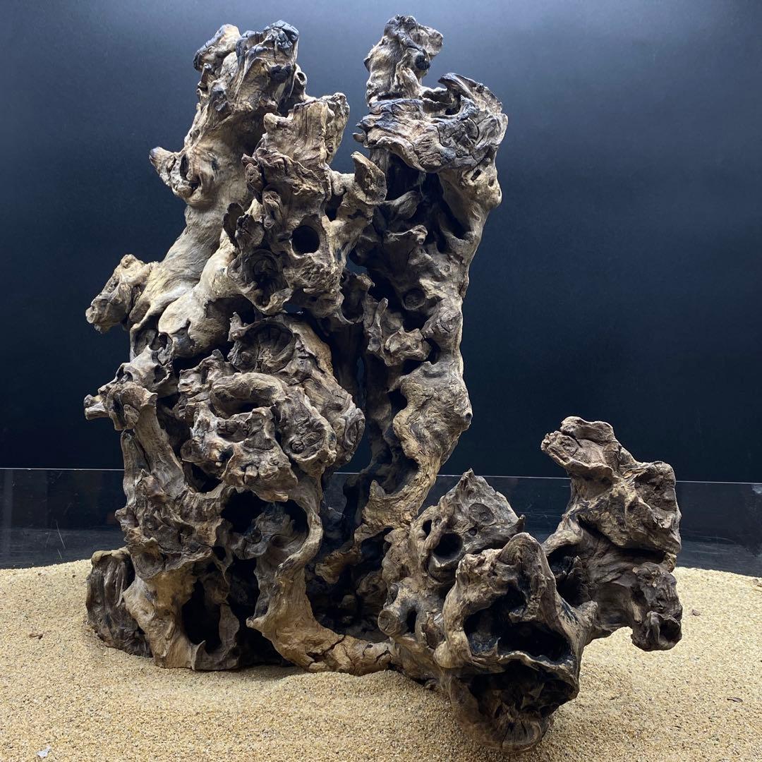 MJW-6617 ジンジャーウッド　天然流木　アクアリウム　爬虫類