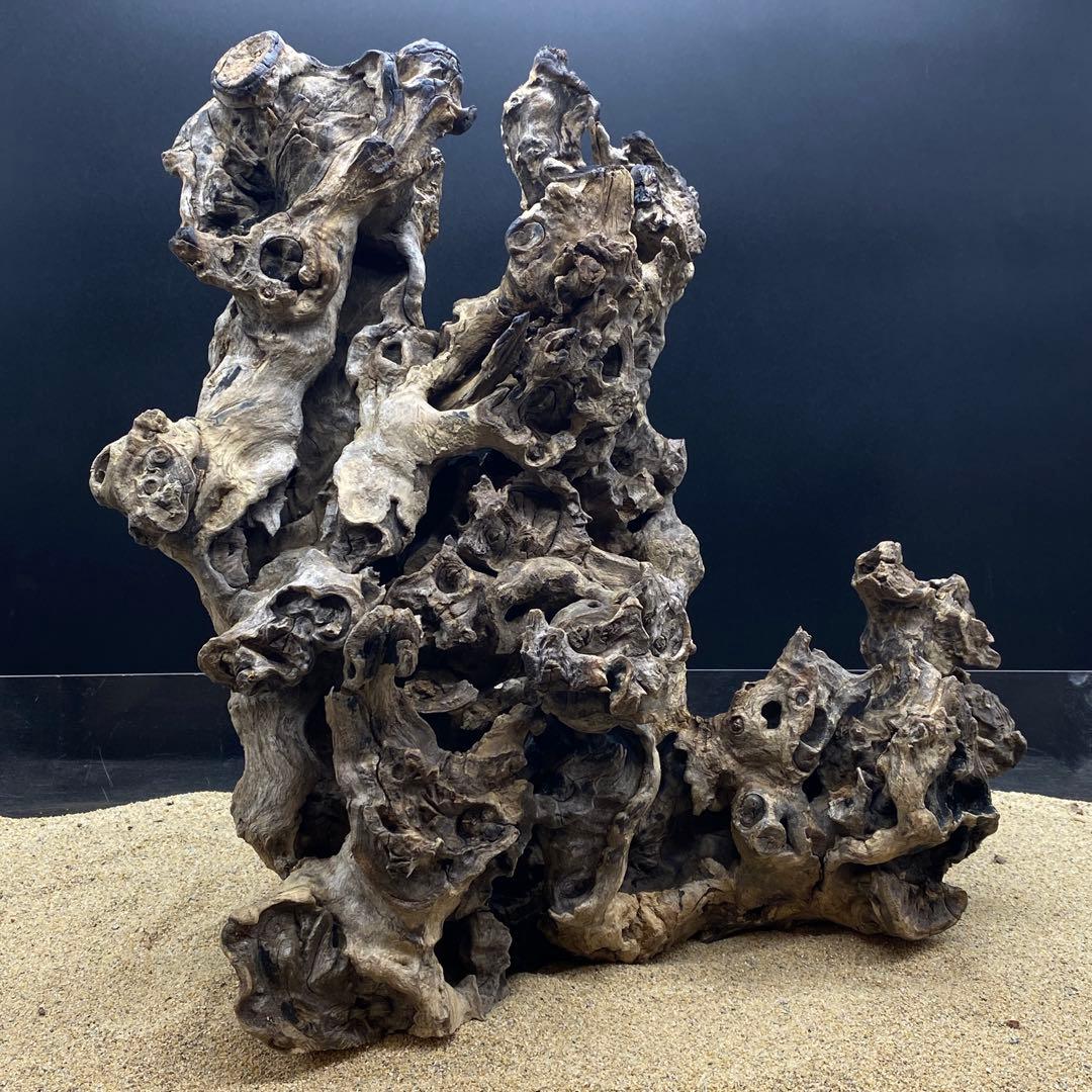 MJW-6617 ジンジャーウッド　天然流木　アクアリウム　爬虫類