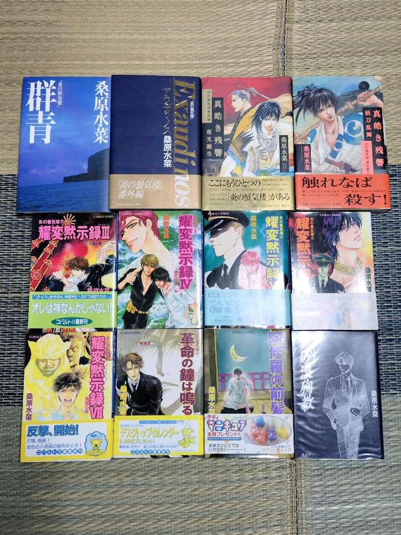★炎の蜃気楼★1〜38＋アルファ計44冊★桑原水菜