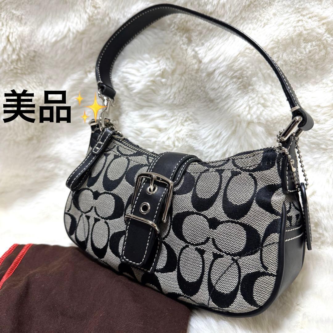COACH シグネチャー　アクセサリーポーチ　ワンショルダー　6362 ソーホー