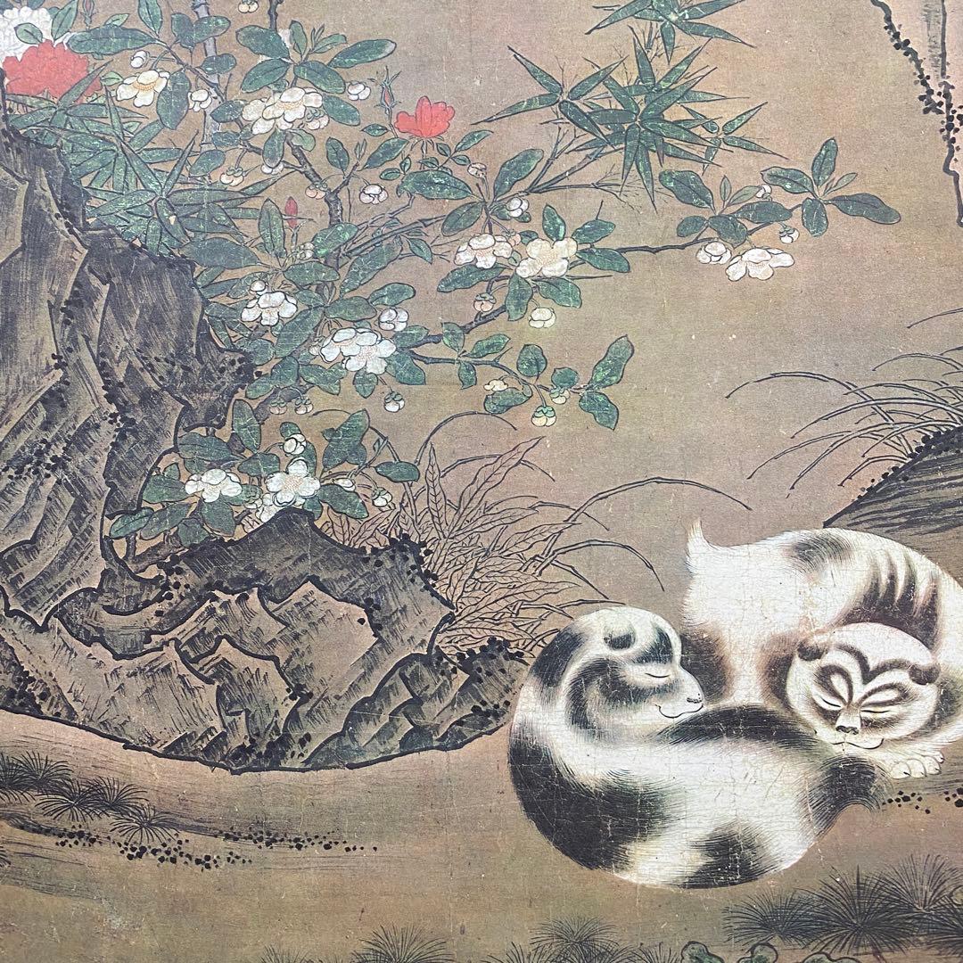 美品 掛け軸 狩野玉楽筆「霊猫睡戯図」鳥獣 複製印刷 室町末期の画家