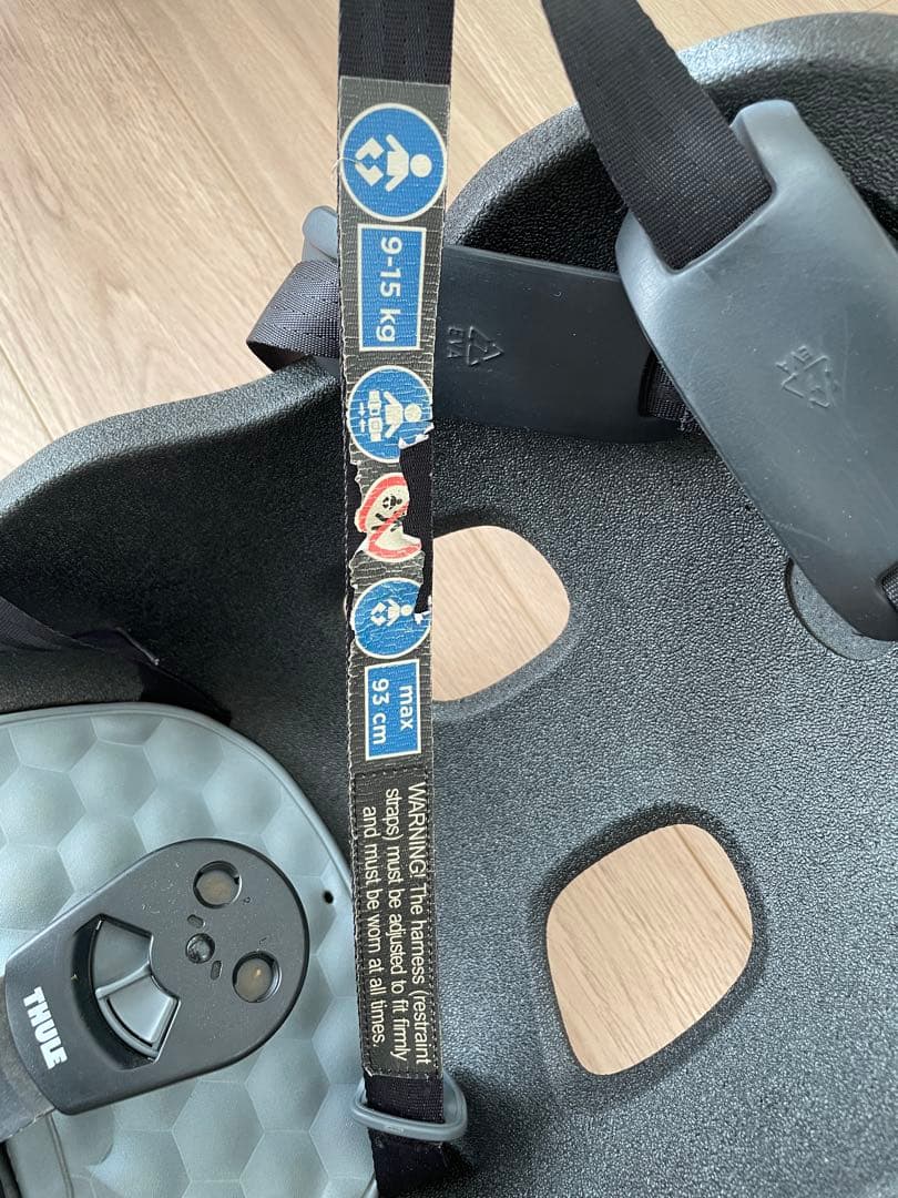 THULE Yepp Nexxt 2 Mini グレー 自転車用チャイルドシート