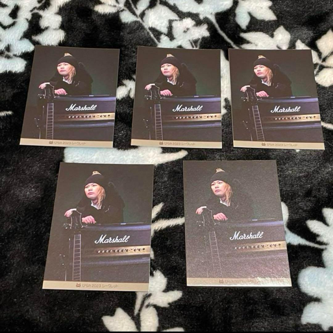 ゲーム実況者わくわくバンド ぴらの 30枚セット