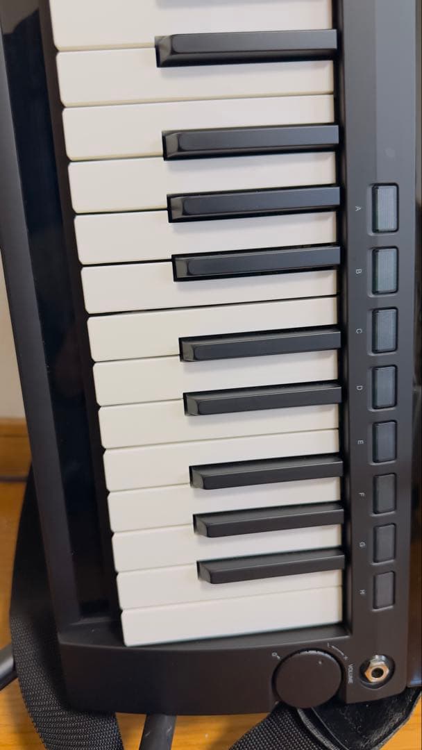 KORG RK-100S ショルダーキーボード 動作確認済み 付属品有