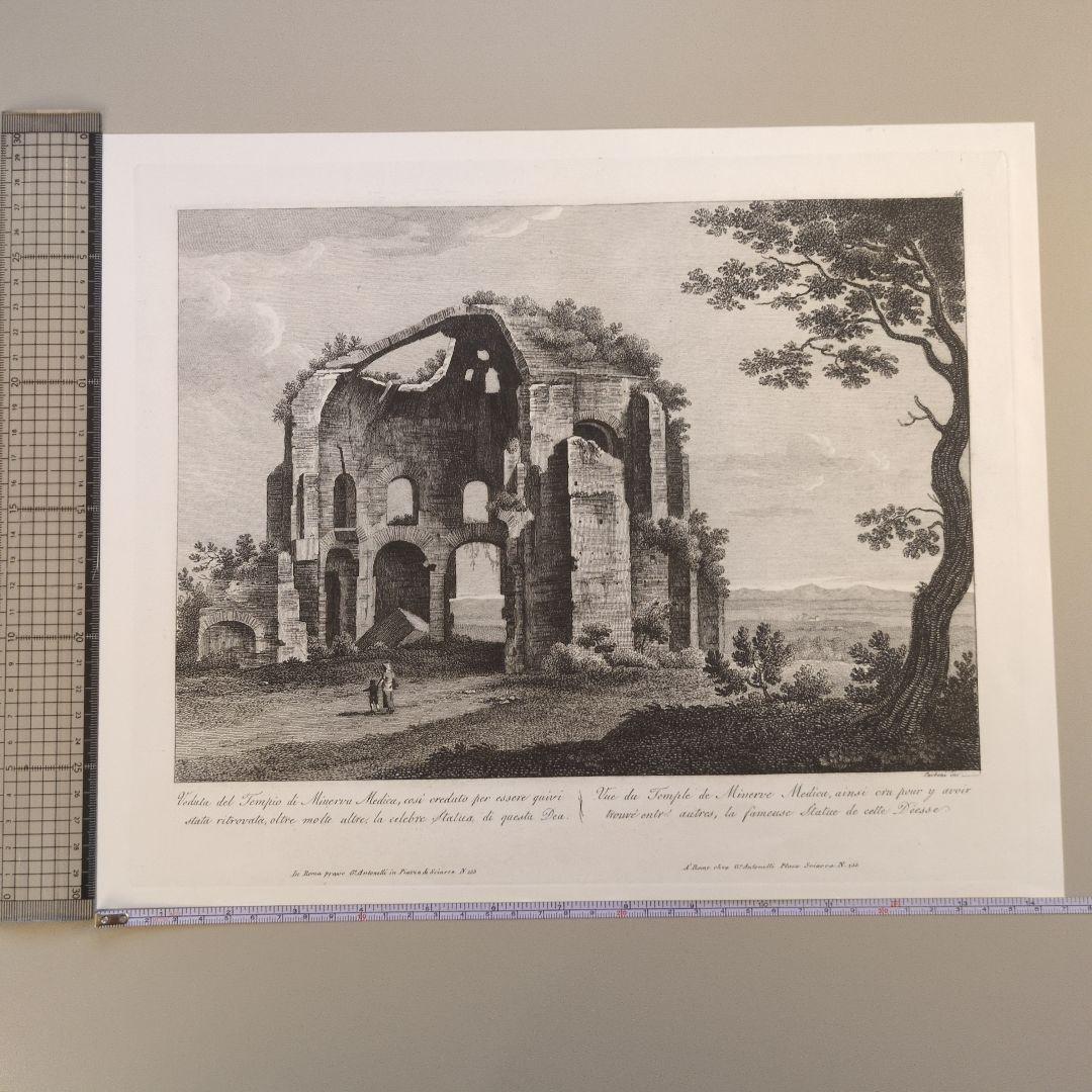 ローマ建築 ミネルウァ神殿 アンティーク版画