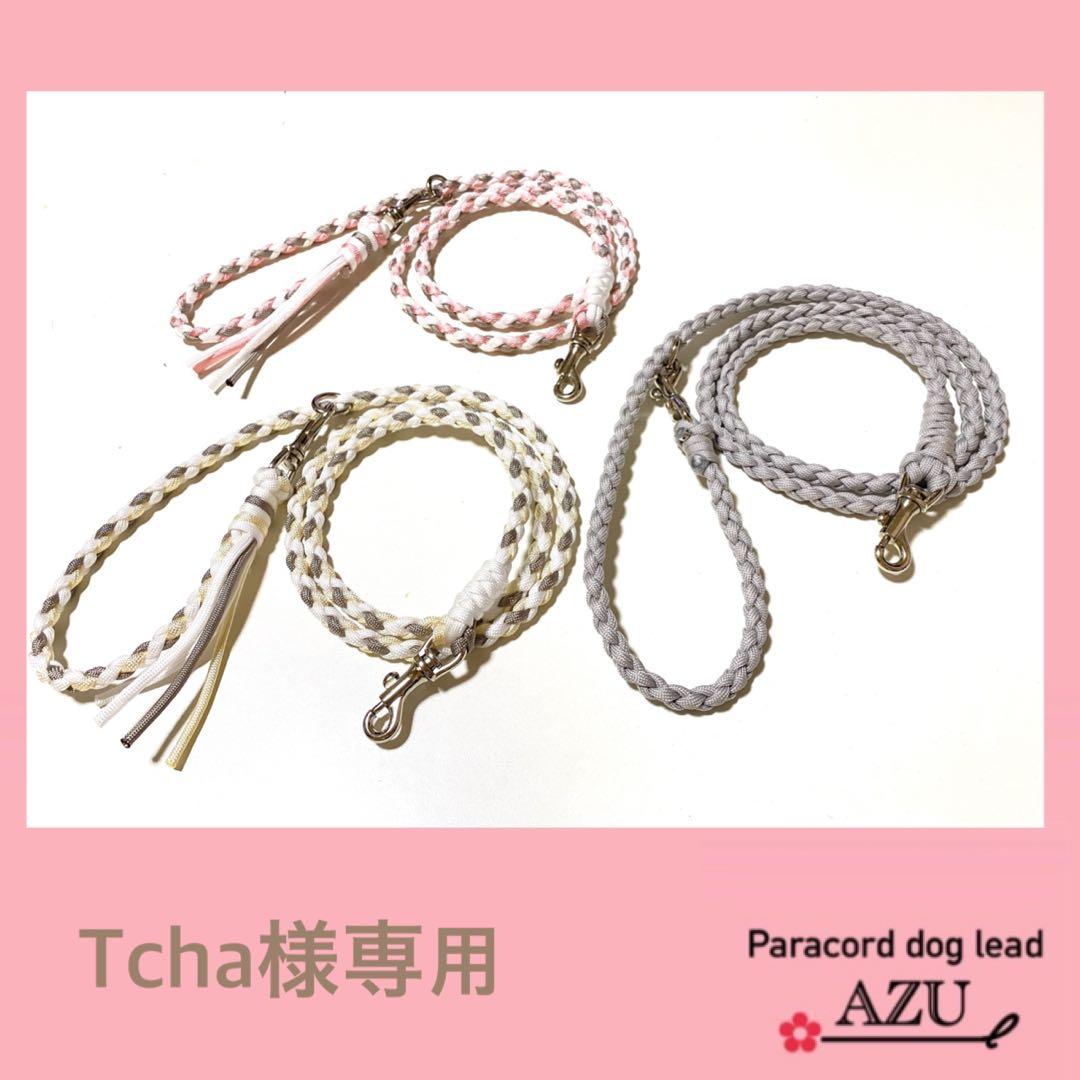 首輪・ハーネス・リード Tcha