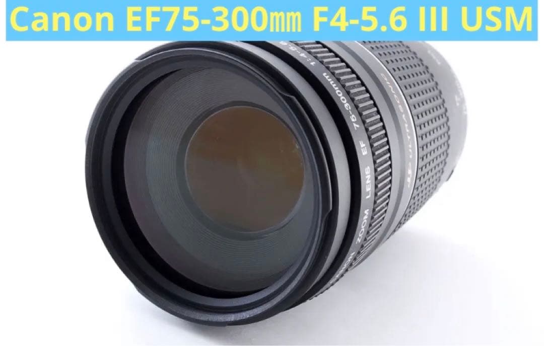 ☆望遠レンズ☆Canon EF 75-300㎜ F4-5.6 III USM ☆