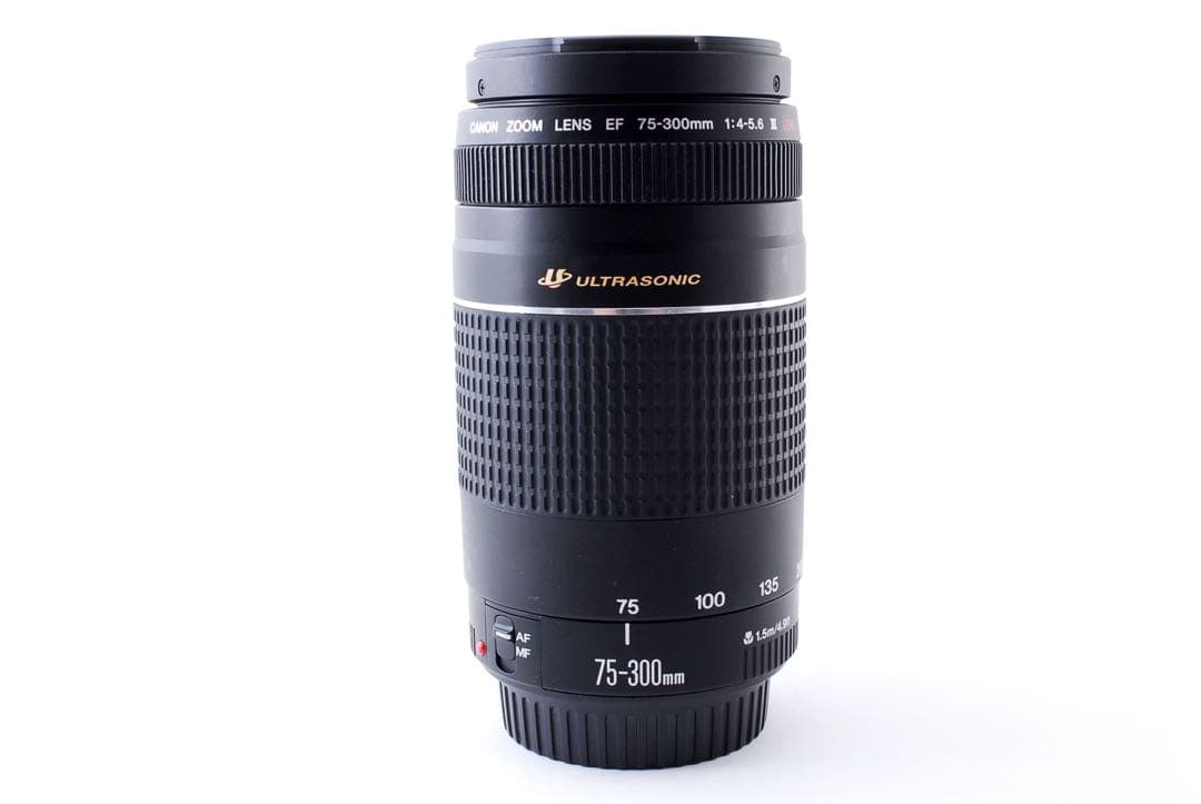 ☆望遠レンズ☆Canon EF 75-300㎜ F4-5.6 III USM ☆