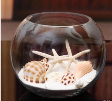 金魚鉢 ガラス製 花瓶 アクアリウム テラリウム ４０ｃｍ 新品訳あり