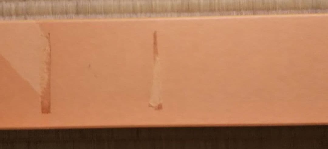 茶道具 掛軸 画賛 仲春洋 紅梅 大徳寺 戸上明道 和尚 筆 一朶香