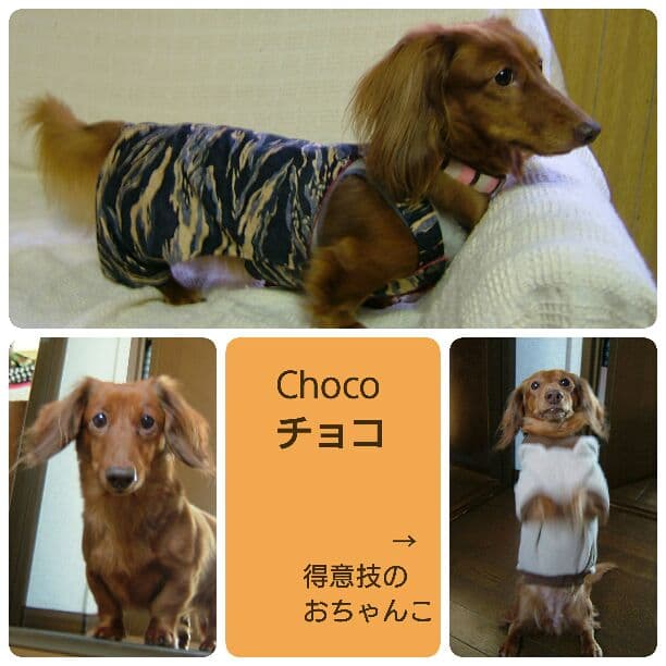 anna 様 ご確認用 です。