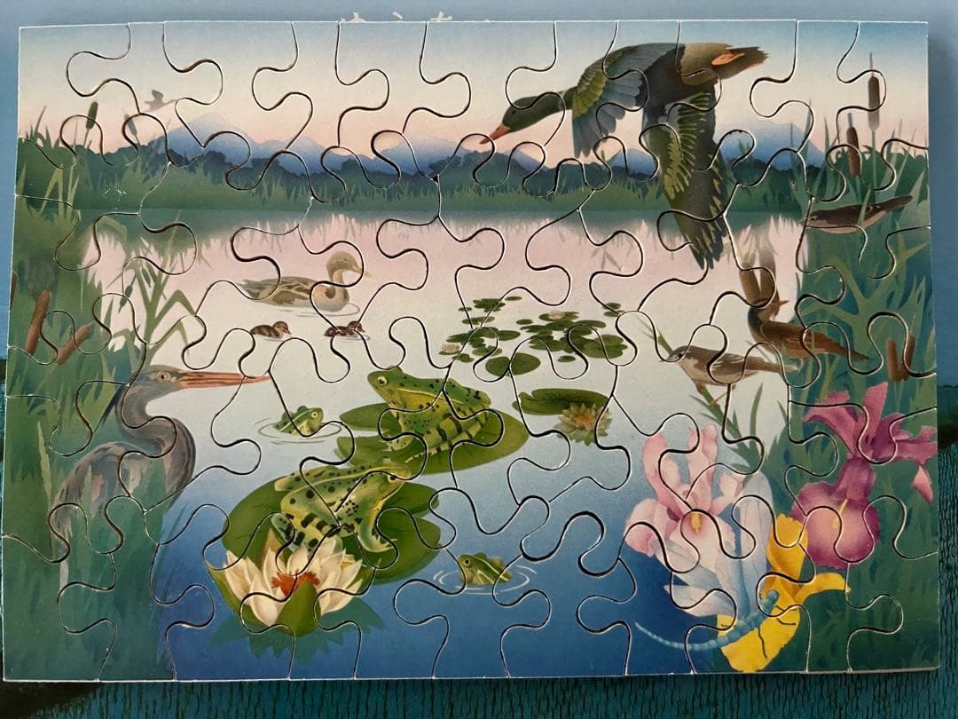 スイス　naef バーゼル　Grun80 木製パズル　48pガーデンExpo