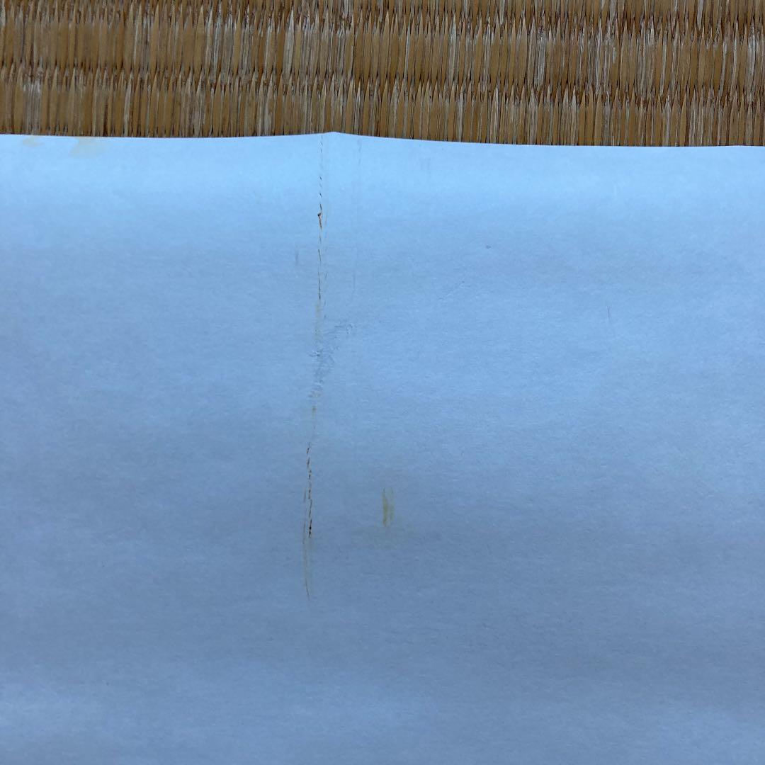 宮崎駿　ナウシカ　ポスター72×50 未使用