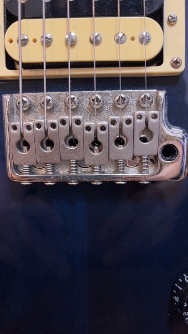 ギター PRS SE Custom 24