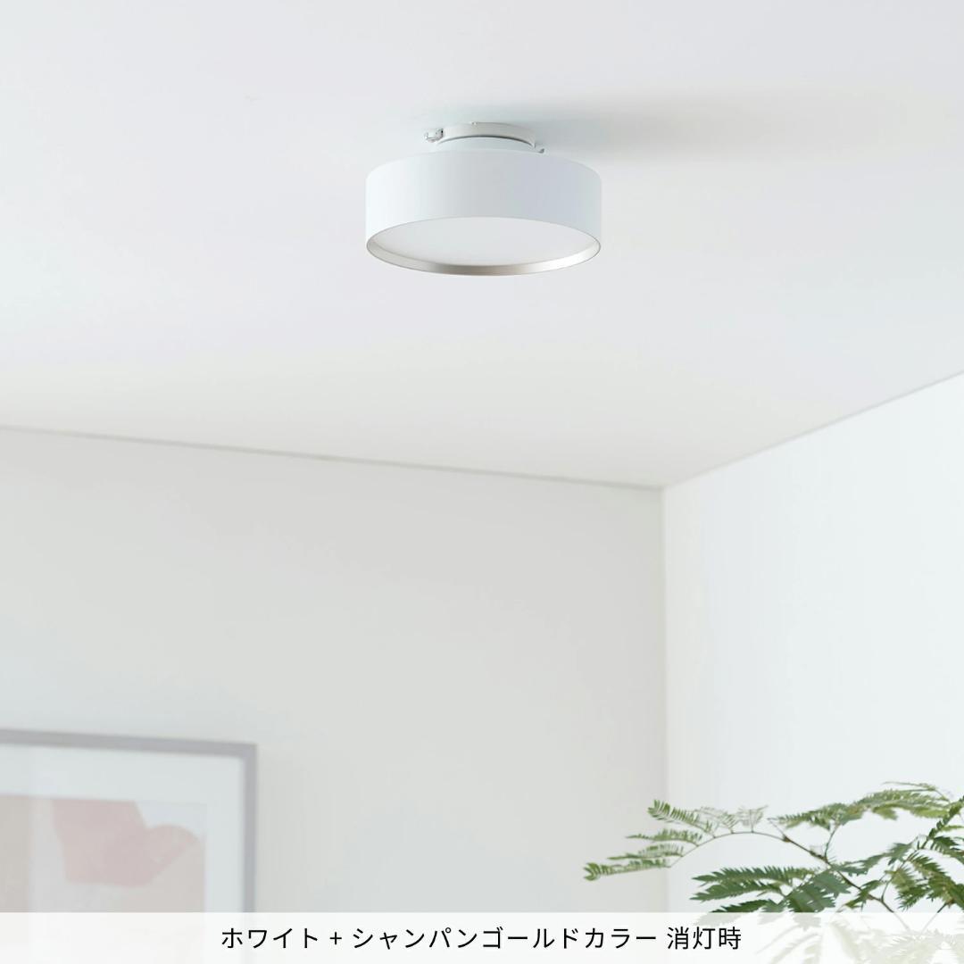 新品未使用 アートワークスタジオ Glow mini LED WH/CGDミニ