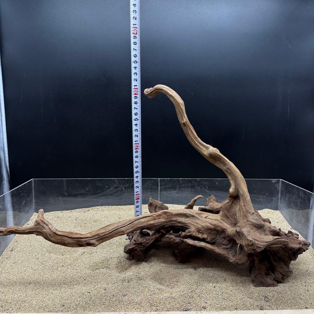 MSRW-7168 天然流木1点物　スリムウッド　アクアリウム