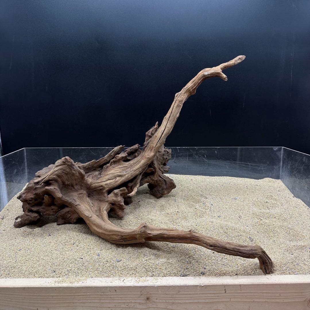 MSRW-7168 天然流木1点物　スリムウッド　アクアリウム