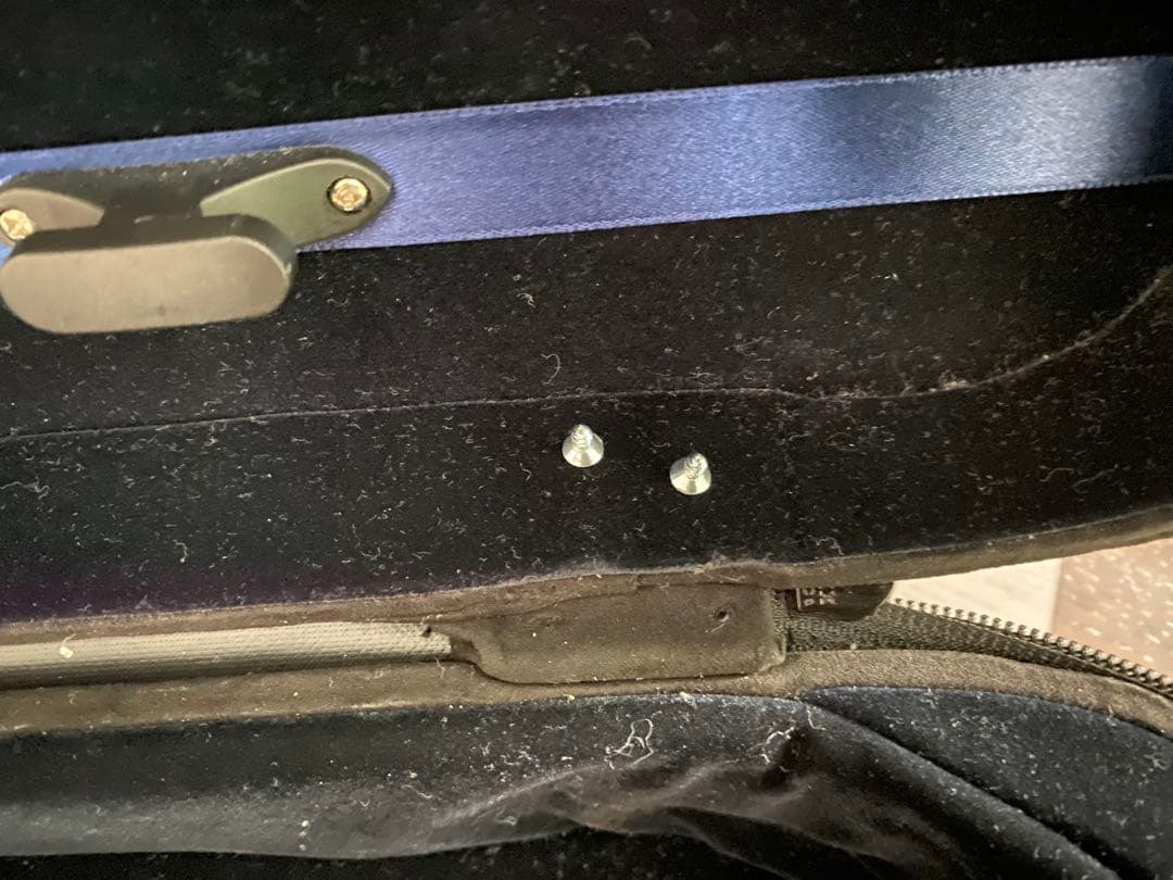 【2022年製】Andreas Eastman バイオリンVL80 1/2