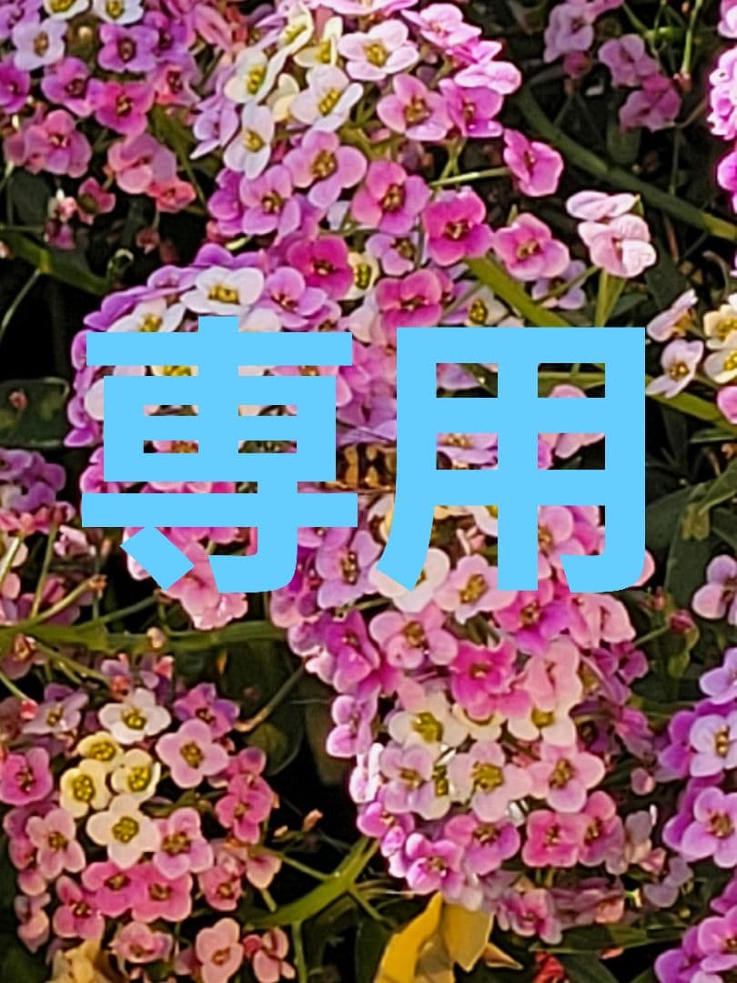 メタモン 日本酒