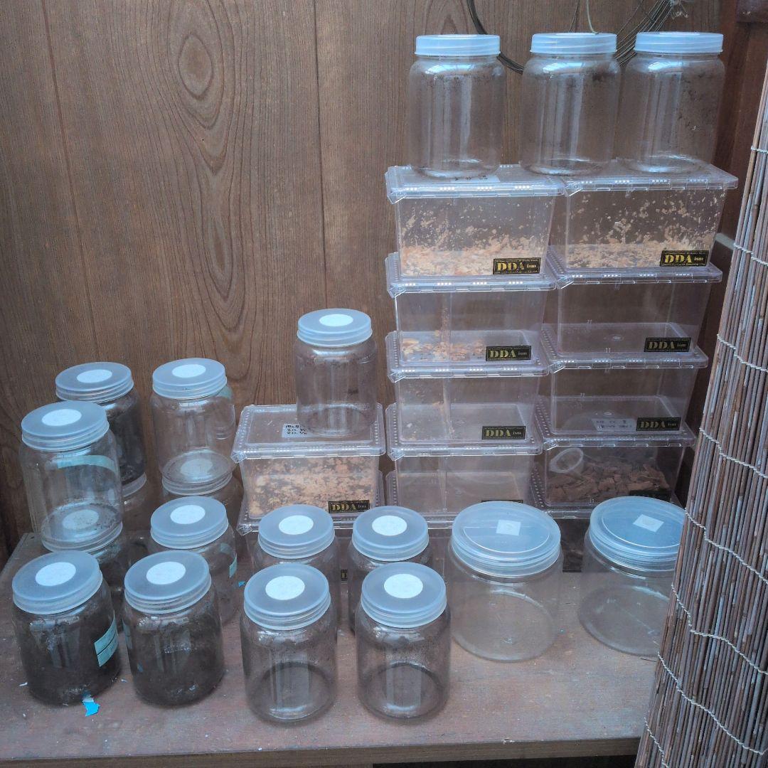 幼虫飼育用プラスチック容器4個セット