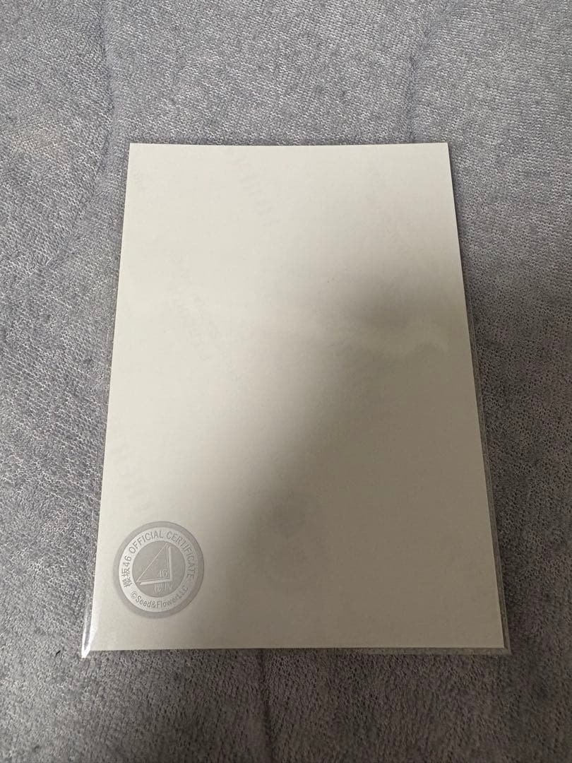 勝又春 直筆サイン 生写真